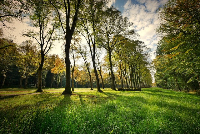 indiana state parks with lodges